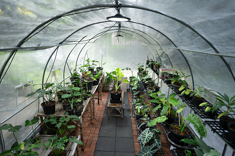 Agricultural netting in a greenhouse