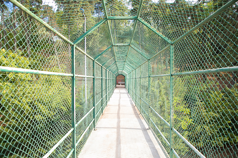 Safety netting